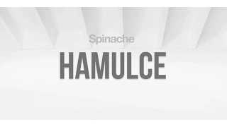 Spinache - Hamulce [Audio]