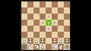 How the Raja (King) Moves – Chaturanga/Shatranj Chess