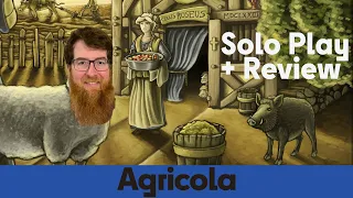 Agricola - Solo Board Game Playthrough & Review