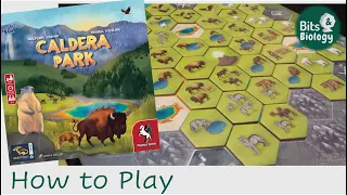 Caldera Park How to Play | Bits & Biology