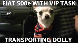 Delivering Dolly in Fiat 500e