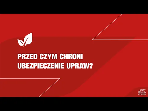 youtube-video-thumbnail