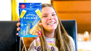 Word Colony Original Teaser - Family Board Game
