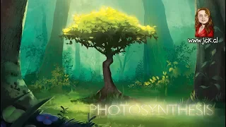 Photosyntesis [JcK / Juego de Mesa / Como Jugar / Tutorial]