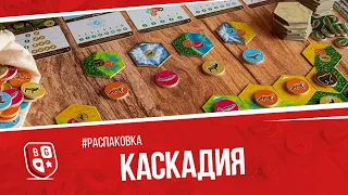 Распаковка игры Каскадия
