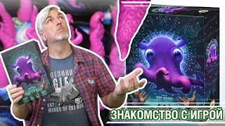 Знакомство с настольной игрой "COSMOCTOPUS"