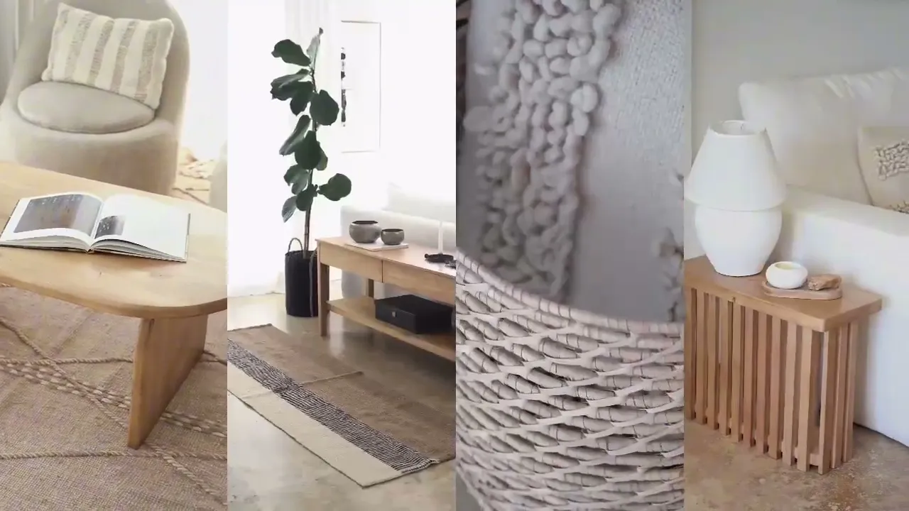 Video de Safdye