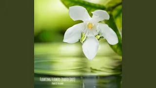 Floating Flowers (Radio Edit)