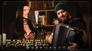 Crina Corb \u0026 Borko Radivojevic - Mi-a plăcut viața (NEW 2025)