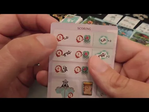 Koi Review