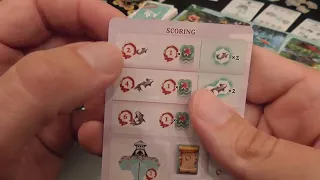 Koi Review