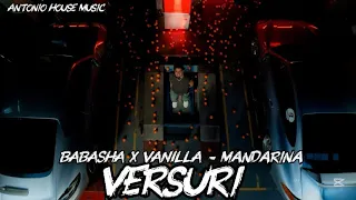 BABASHA X VANILLA - Mandarina (Versuri/Lyrics)