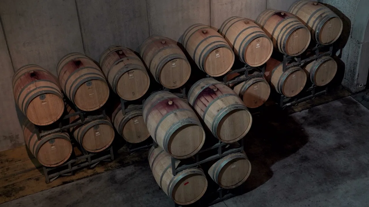 Video de La chica del PINOT