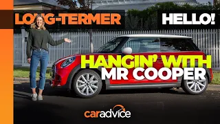 2020 Mini Cooper S Review | Long Term Review Introduction | CarAdvice