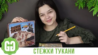 СТЕЖКИ ТУКАНИ: швидко, легко і недорого