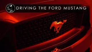 Driving The Ford Mustang GT | Crowd Hunter