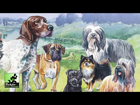 Dog Park | A Rahdo Runthrough by Ruel
