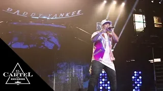 Daddy Yankee - THE KINGDOM Parte 3 (Live)