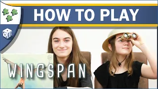 How to Play Wingspan
