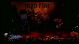 Dead Fish - Queda Livre
