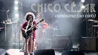 Chico César - Caninana (Ao Vivo)