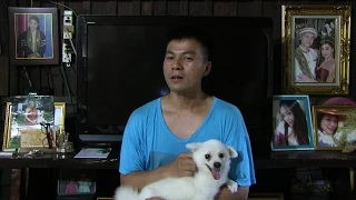 News update: Tesla referral program and Model X