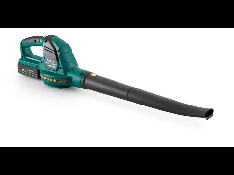 Aparador de Grama e Soprador a Bateria AGSP24B-2FC Tekna