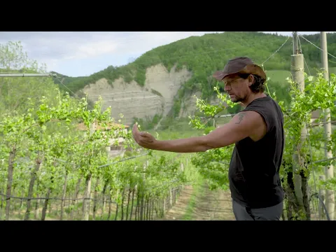 youtube-video-thumbnail