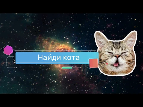 Відео Знайди кота