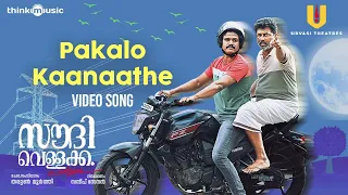 Pakalo Kaanaathe - Video Song| Saudi Vellakka| Tharun Moorthy| Sandip Senan| Palee Francis| Joe Paul