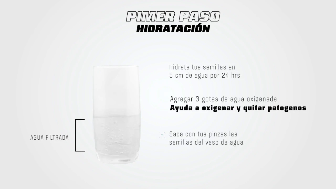 Video de Auto Cultivo