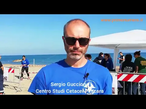 <span style="color:var(--accent)">Video:</span> Primo nido della storia di caretta caretta. Parla l’esperto