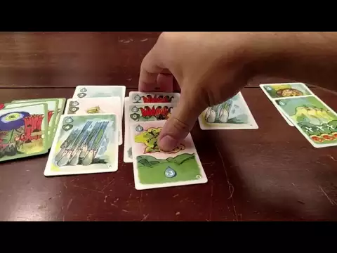 Sylvion Solo Set Up