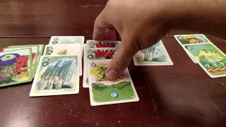 Sylvion Solo Set Up