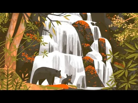 Parks Board Game Review….Its Beautiful But Is It Good?