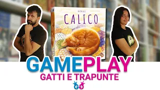 Calico, Partita Completa al gioco da tavolo dei gatti che dormono sulle trapunte!