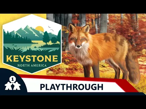 Keystone: North America solo play | One Stop Co-Op Shop