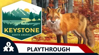 Keystone: North America solo play | One Stop Co-Op Shop