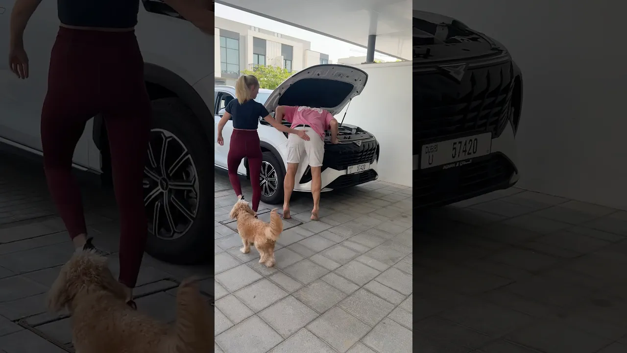 That was an unexpected twist...🤣 #cars #funny #relationships