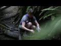 YouTube vidéo