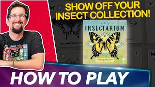 Insectarium | How To Play | Board Game
