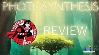Everything Board Games Photosynthesis Review
