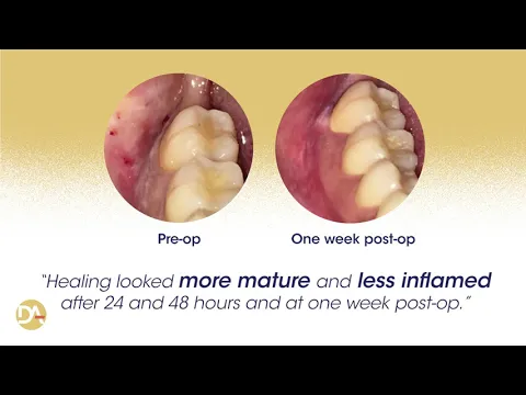 2019 Top Oral Product