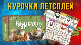 Настільна гра Курочки (Hens) летсплей та враження