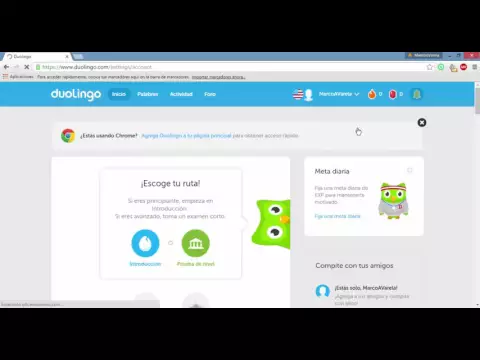 CONFIGURAR DUOLINGO