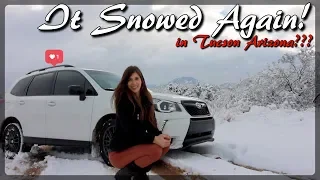 Getting a Little Dirty! // Snow Hooning in Forester Gump