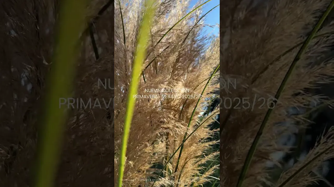 Video de COCOT Online