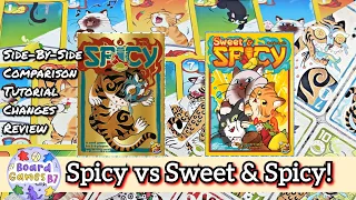 Spicy Showdown: Spicy vs. Sweet & Spicy! Overview, Side-By-Side Comparison, Tutorial, Differences & Review.