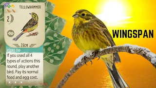 Wingspan Gameplay: Yellowhammer Showcase