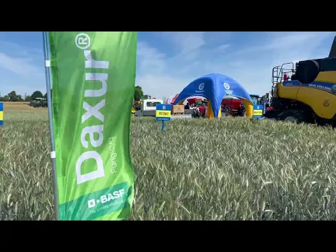 youtube-video-thumbnail